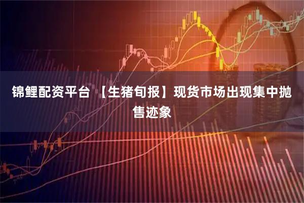 锦鲤配资平台 【生猪旬报】现货市场出现集中抛售迹象