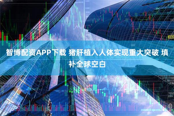 智博配资APP下载 猪肝植入人体实现重大突破 填补全球空白